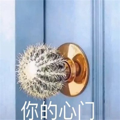 2023微信聊天表情合集 面壁思过