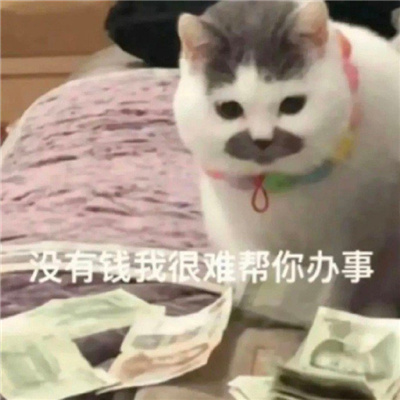 女孩子用的频率很高的实用表情 我们美女要团结