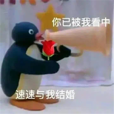 杂七杂八实用表情包 超喜欢的万能表情合集