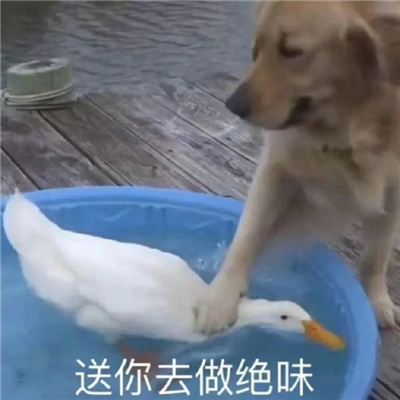 生气发脾气怼人专用表情 谁给你胆子敢这样说我