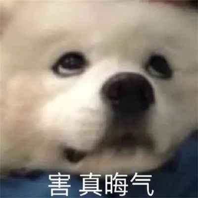 无敌爆开心的俏皮表情最新 聊好多好多有趣的天表情