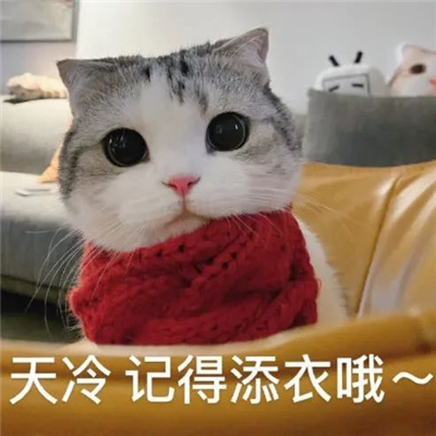 无敌爆开心的俏皮表情最新 聊好多好多有趣的天表情