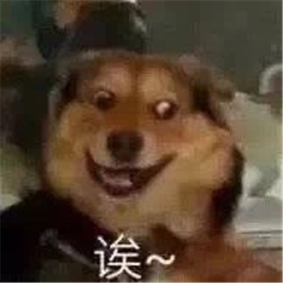 恶搞小狗微信表情 如果只是寂寞请不要说爱我