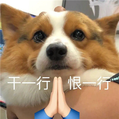 恶搞小狗微信表情 如果只是寂寞请不要说爱我