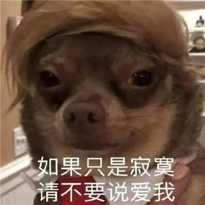 恶搞小狗微信表情 如果只是寂寞请不要说爱我