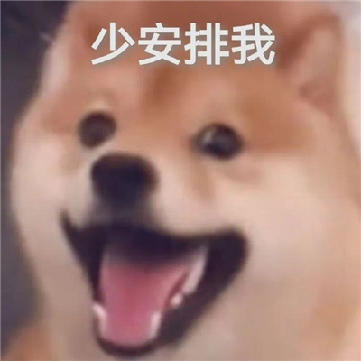 恶搞小狗微信表情 如果只是寂寞请不要说爱我