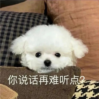 恶搞小狗微信表情 如果只是寂寞请不要说爱我