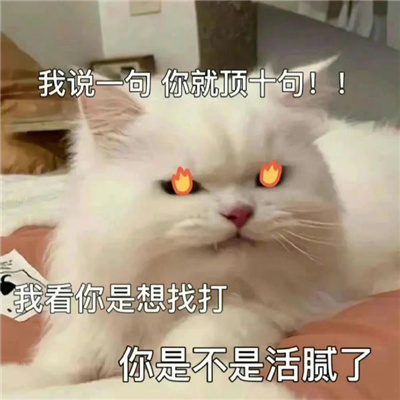 203超好用的斗图聊天表情 我说一句你就顶十句