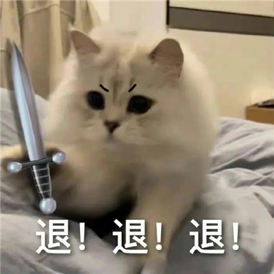 203超好用的斗图聊天表情 我说一句你就顶十句