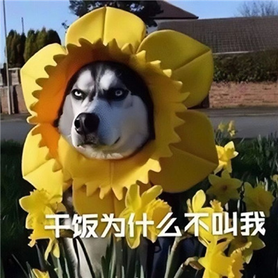 杠精必备聊天表情很好用 万能且好用的杠精表情合集