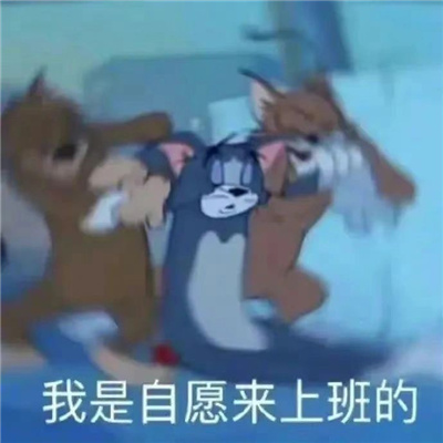 很有用的欢乐表情很快乐 听君一席话白读十年书