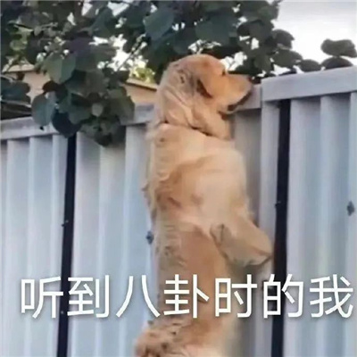 很有用的欢乐表情很快乐 听君一席话白读十年书