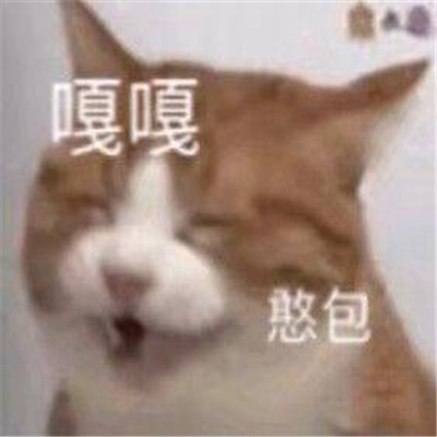 互联网上吃瓜的表情 互联网的世界很精彩