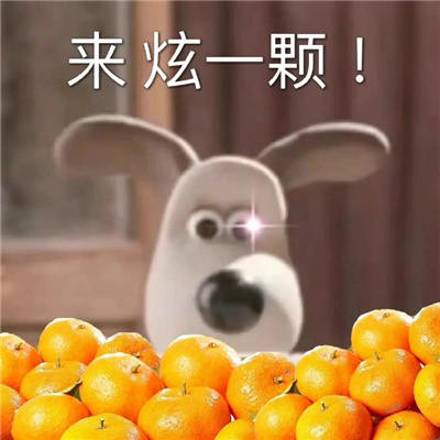 互联网上吃瓜的表情 互联网的世界很精彩