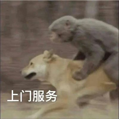 沙雕表情聊天很好用 你人真好都想和你谈恋爱了