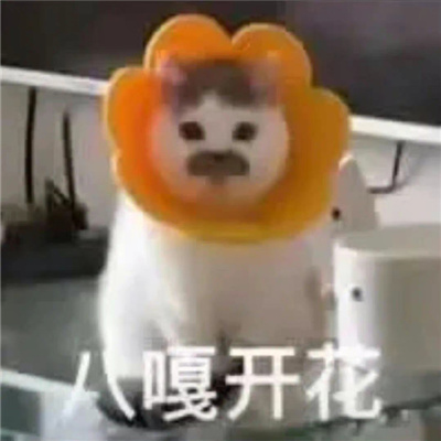 很雷人的表情最新版 微信必备的幽默表情