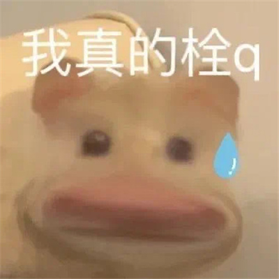 很雷人的表情最新版 微信必备的幽默表情