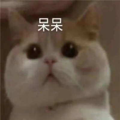 很雷人的表情最新版 微信必备的幽默表情