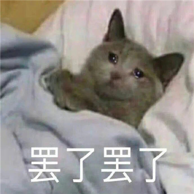 很生动形象的表情热门 非常搞笑又能生动表达心情的表情