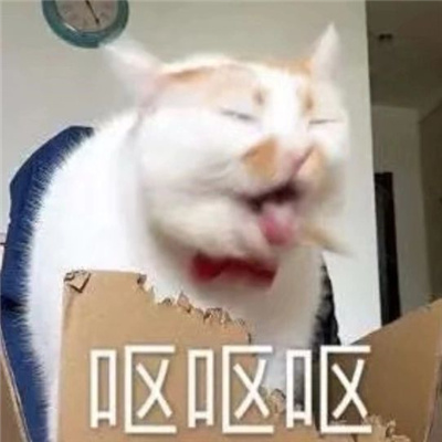 小猫咪呕吐表情很欢乐 最新版呕吐三连猫猫表情又更新啦