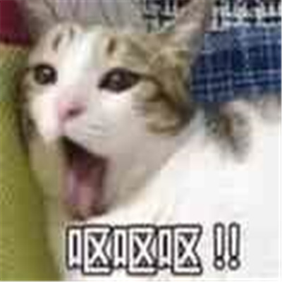 小猫咪呕吐表情很欢乐 最新版呕吐三连猫猫表情又更新啦