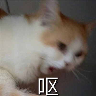 小猫咪呕吐表情很欢乐 最新版呕吐三连猫猫表情又更新啦