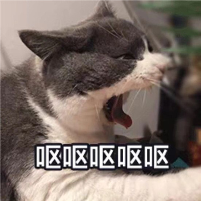 小猫咪呕吐表情很欢乐 最新版呕吐三连猫猫表情又更新啦