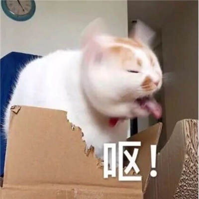 小猫咪呕吐表情很欢乐 最新版呕吐三连猫猫表情又更新啦
