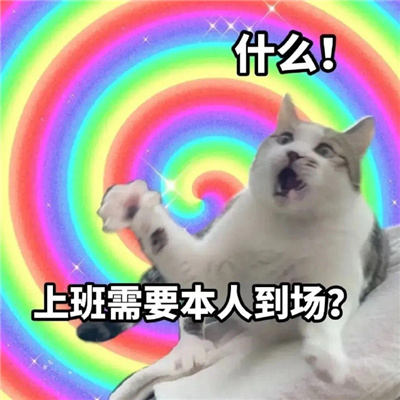 搞怪又很快乐的聊天表情 什么上班需要本人到场