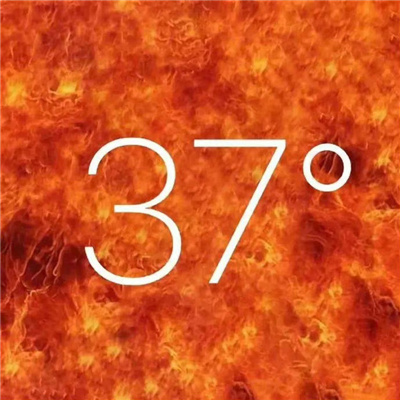 积攒好久的热门且快乐表情 一定会存图的快乐表情