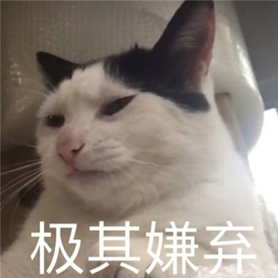 最爱的最有趣的表情很好用 超俏皮的十足的表情