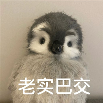 最爱的最有趣的表情很好用 超俏皮的十足的表情