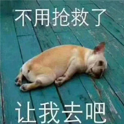 最爱的最有趣的表情很好用 超俏皮的十足的表情