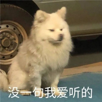 最爱的最有趣的表情很好用 超俏皮的十足的表情