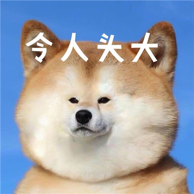 令人头大表情包实用合集 学习真让人头大