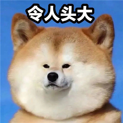 令人头大表情包实用合集 学习真让人头大