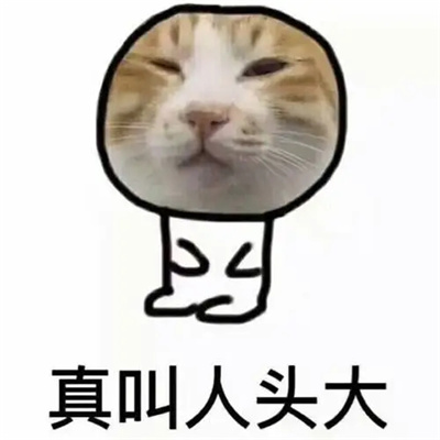 令人头大表情包实用合集 学习真让人头大