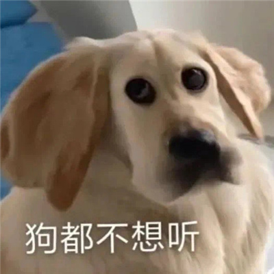 不想说话用的聊天表情 快乐聊天必备表情