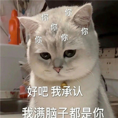 不想说话用的聊天表情 快乐聊天必备表情