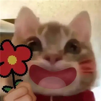 超搞笑系列幽默感的表情 v我50说你爱听的