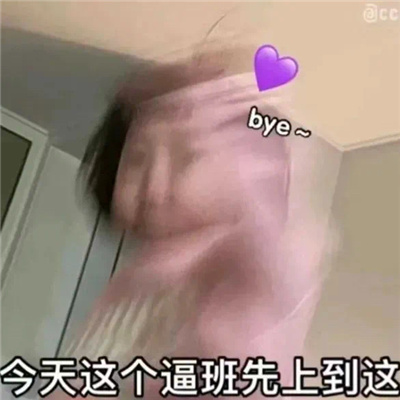 摆烂文学表情包合集 不干了