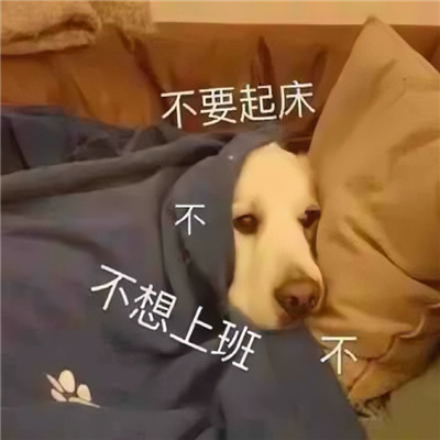 生动有形象的热门表情 热门且好用的表情