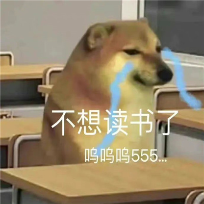 跟对象日常聊天用的表情 老婆我想拉屎