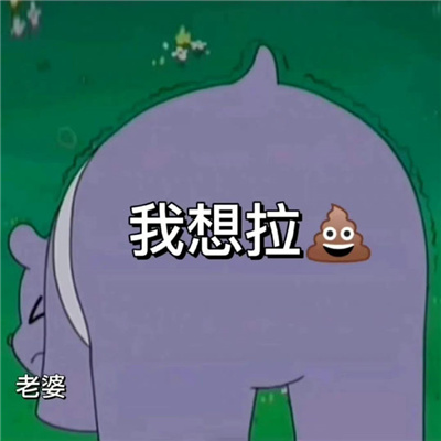 跟对象日常聊天用的表情 老婆我想拉屎