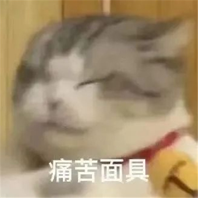 心情烦躁的聊天表情 极度烦躁的表情合集