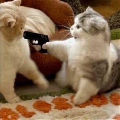 心情烦躁的聊天表情 极度烦躁的表情合集