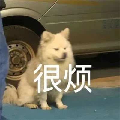 心情烦躁的聊天表情 极度烦躁的表情合集