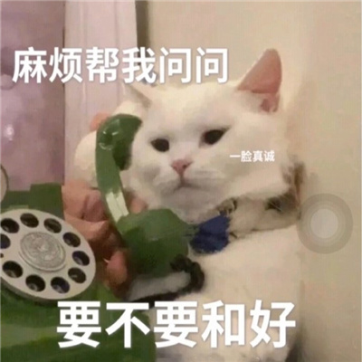 暧昧期必备的可爱表情最新 你的文字比冬天的湖水还冰冷