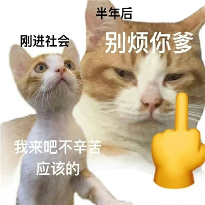 搞怪贱贱坏坏表情包 狗叫了狗叫了