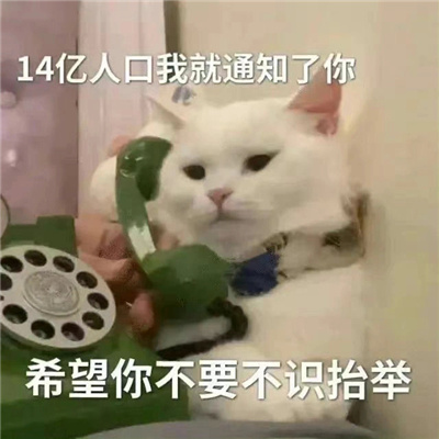 搞怪贱贱坏坏表情包 狗叫了狗叫了